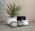 Indoor/Outdoor Large Nordic Minimalist Fiberstone Lightweight Round Planter Pot - 16, 10 inch Matte Finish - Suitable for Fiddle Leaf Fig