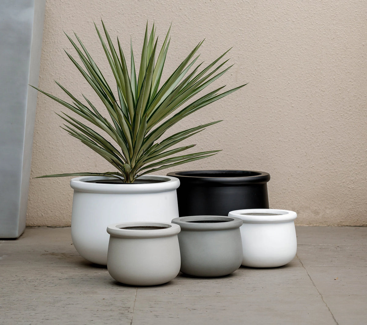 Indoor/Outdoor Large Nordic Minimalist Fiberstone Lightweight Round Planter Pot - 16, 10 inch Matte Finish - Suitable for Fiddle Leaf Fig